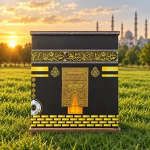 Kaba Saving Bank Box
